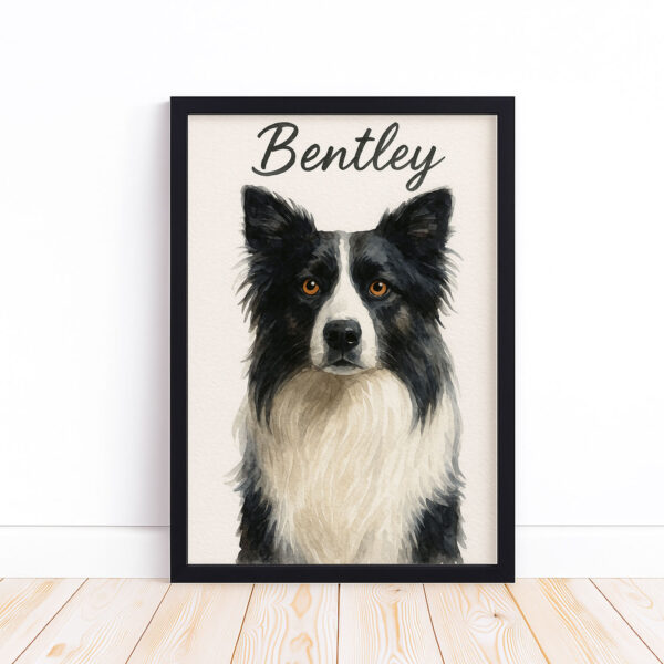 Personalized Dog Portrait of Bentley Featuring a Stylish Black and White Border Collie Design - Image 6