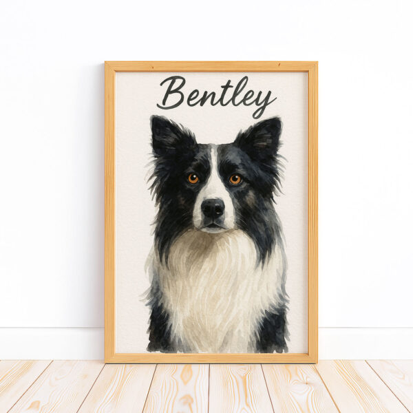 Personalized Dog Portrait of Bentley Featuring a Stylish Black and White Border Collie Design - Image 5