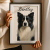 Personalized Dog Portrait of Bentley Featuring a Stylish Black and White Border Collie Design